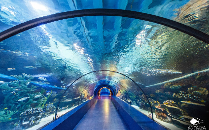 Аквариум в Анталии